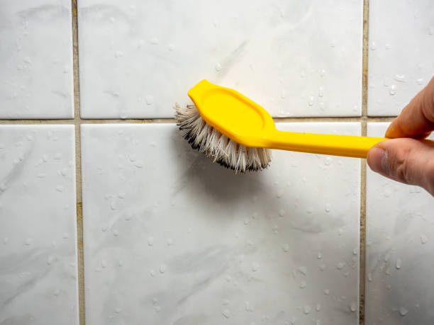 Best Water Damage Restoration  in Duryea, PA