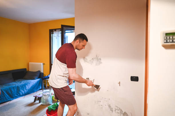 Best Attic Mold Removal  in Duryea, PA